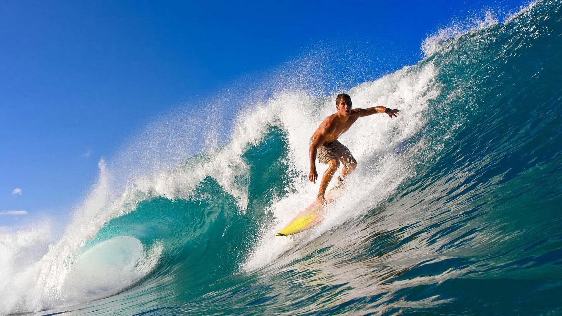 贾瓦迪奋力冲刺 800自决赛尽显韧性，ht贾瓦人